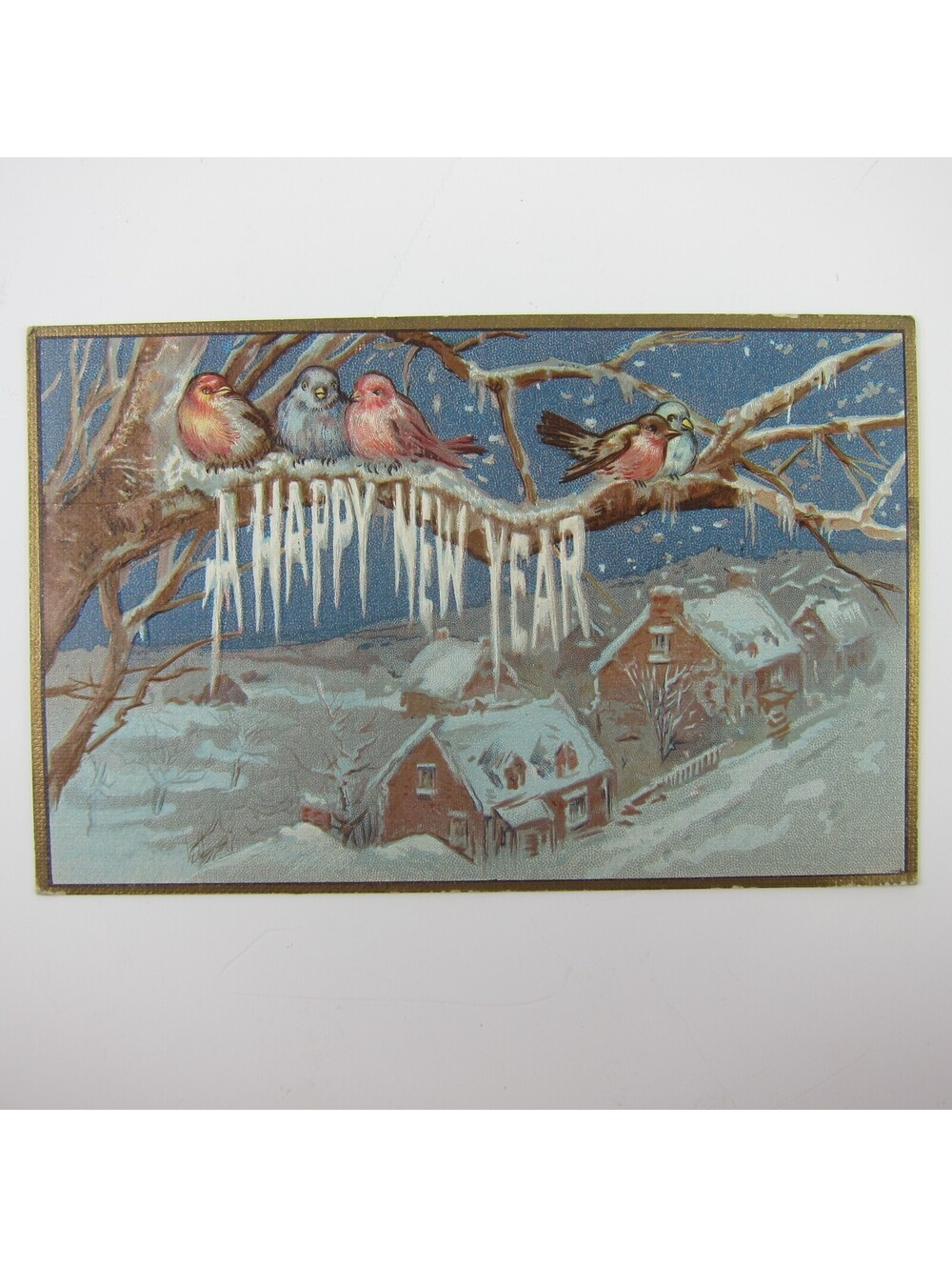 Postcard New Year's Birds Icy Tree Houses In Winter Snow Embossed Antique 1909